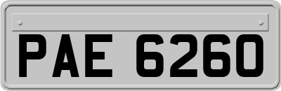 PAE6260