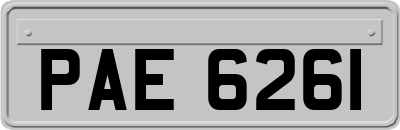 PAE6261