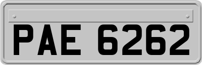 PAE6262