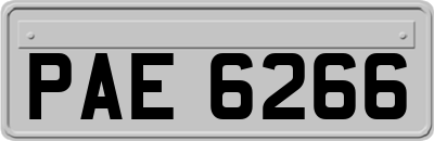 PAE6266