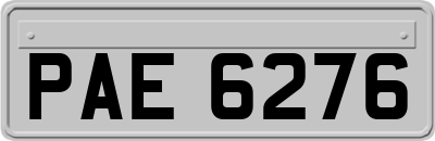 PAE6276