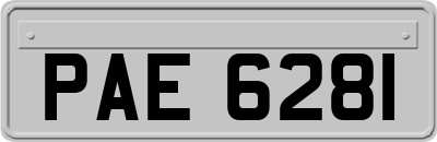 PAE6281