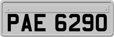 PAE6290