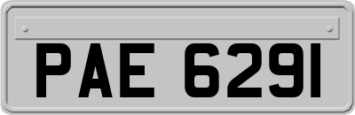 PAE6291