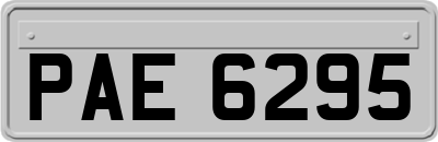 PAE6295