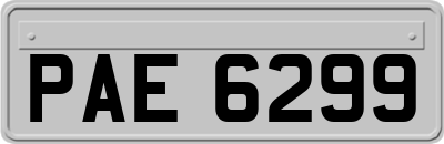 PAE6299