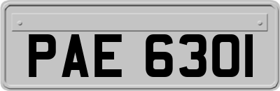 PAE6301