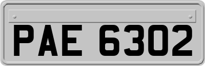 PAE6302