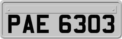 PAE6303