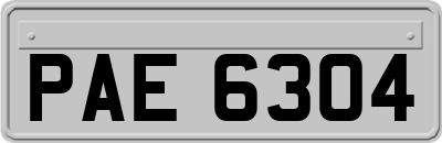 PAE6304