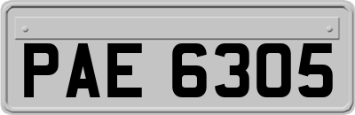 PAE6305