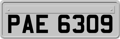 PAE6309