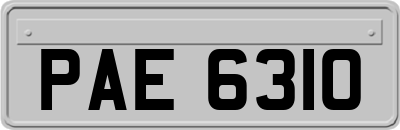 PAE6310
