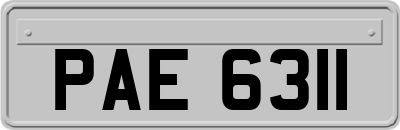 PAE6311