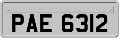 PAE6312