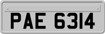 PAE6314