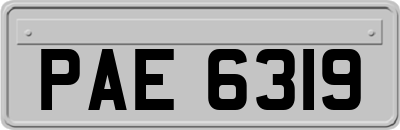 PAE6319