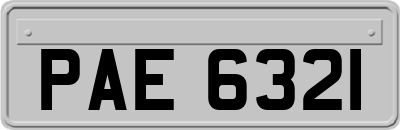 PAE6321