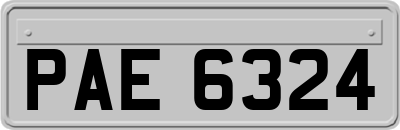 PAE6324