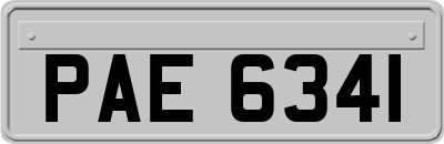 PAE6341