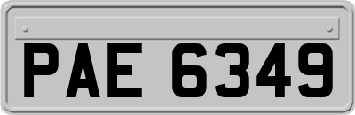 PAE6349