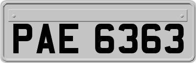 PAE6363