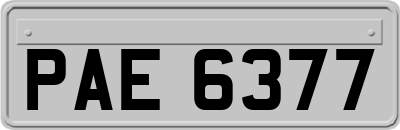 PAE6377