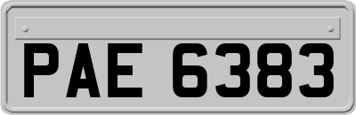 PAE6383