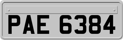 PAE6384
