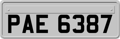 PAE6387