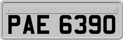 PAE6390