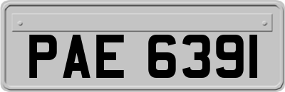 PAE6391