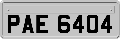 PAE6404