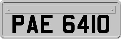 PAE6410
