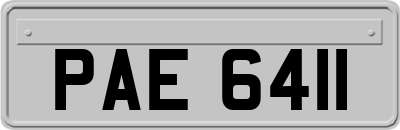 PAE6411
