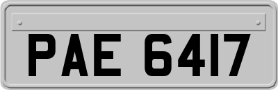 PAE6417