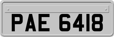 PAE6418