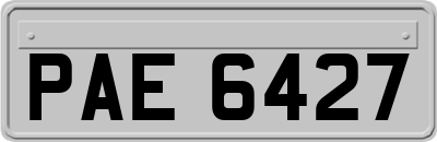 PAE6427