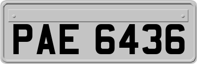 PAE6436