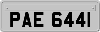 PAE6441