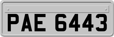 PAE6443