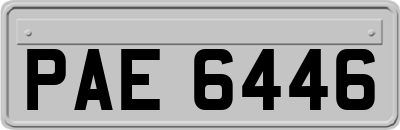 PAE6446