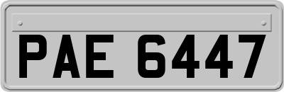 PAE6447