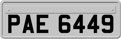 PAE6449