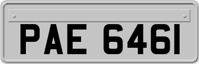 PAE6461
