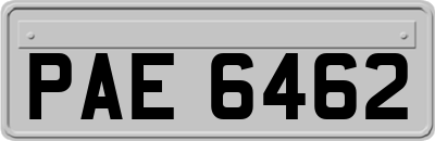 PAE6462