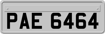 PAE6464