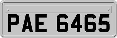 PAE6465