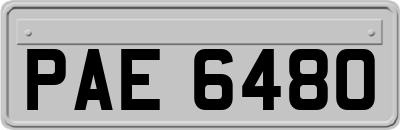 PAE6480