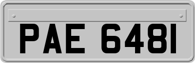 PAE6481